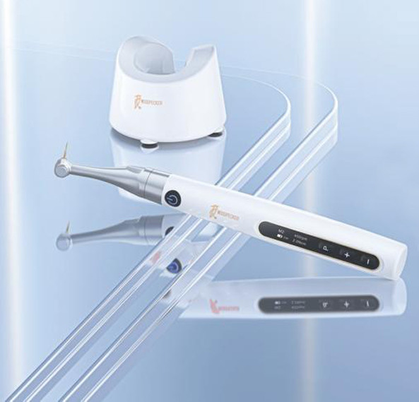 روتاری بی سیم وودپیکر مدل اندو پیس Endo pace