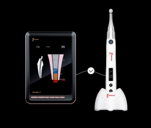 اندو روتاری وودپیکر مدل اندو فری Dte Endo Free