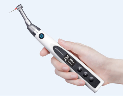 روتاری وودپیکر اندو اسمارت گلد Endo Smart Gold